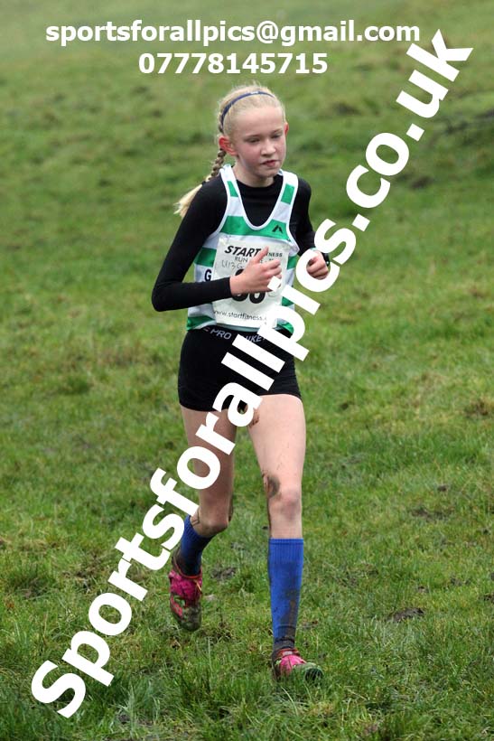 Girls under-13s, NECAA Junior Cross Country Relays, Thornley Farm, Peterlee, Saturday, December 12th. Photo: David T. Hewitson/Sports for All Pics